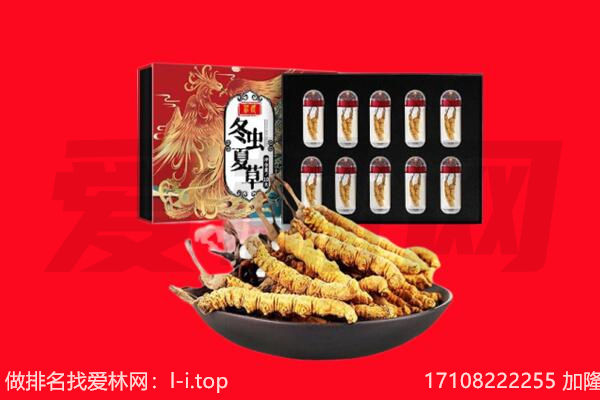 东莞市麻涌镇回收虫草.jpg